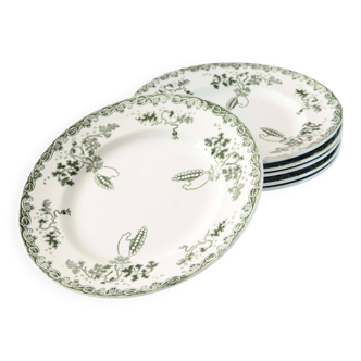 Set of 6 green Terre de fer plates