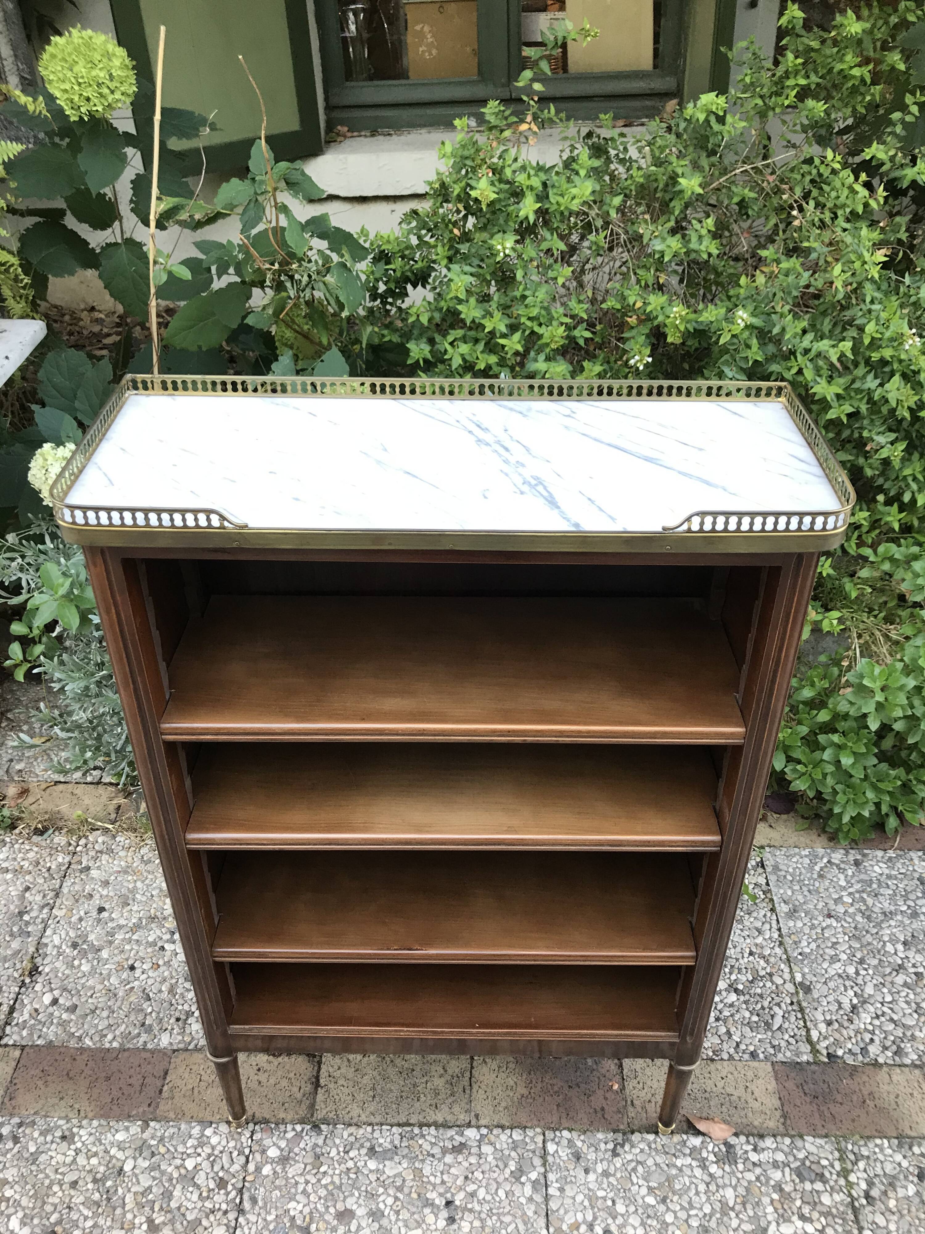 Louis XVI-style bibus library