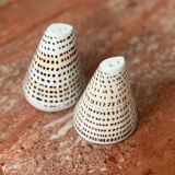 Vintage bohemian tiger shell salt and pepper shaker