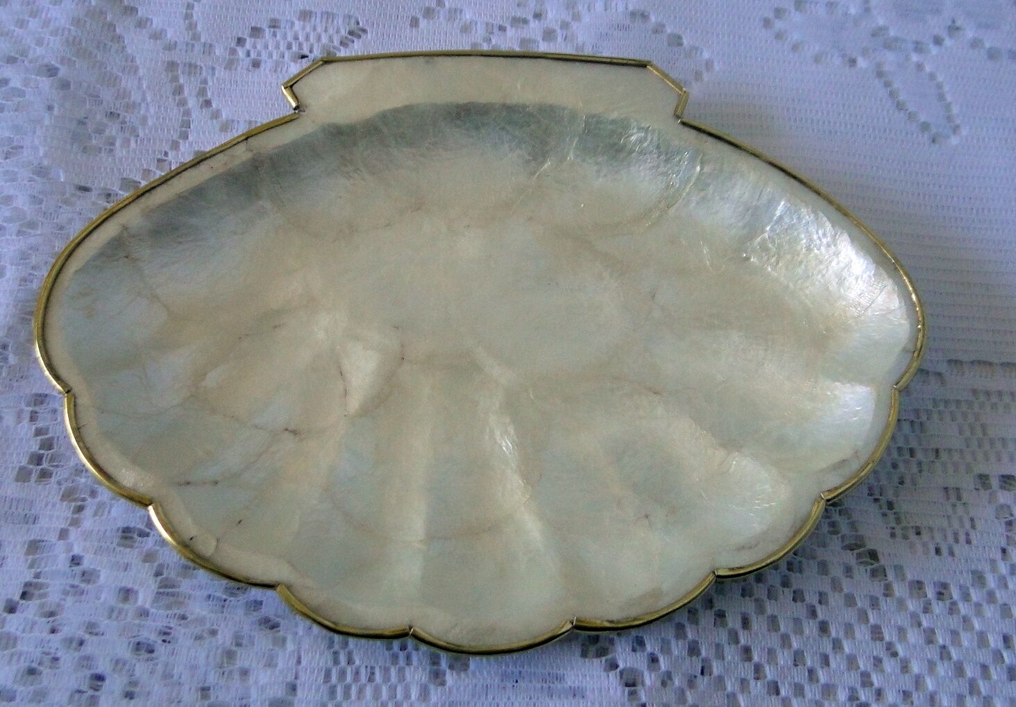 Empty pocket or soap holder in white mother-of-pearl shape scallop shell