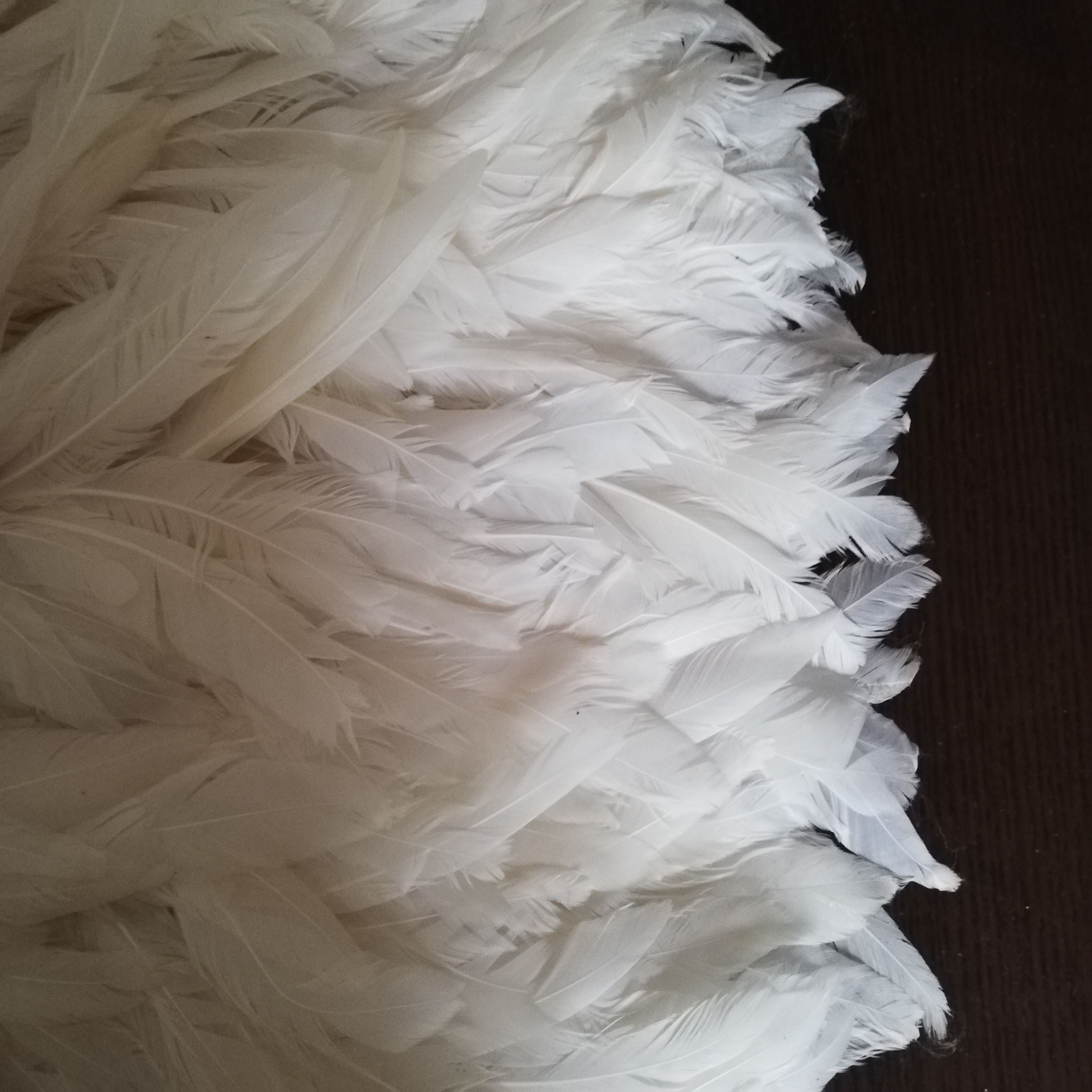 Juju hat blanc