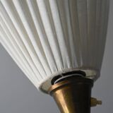 Floor lamp with two points of light