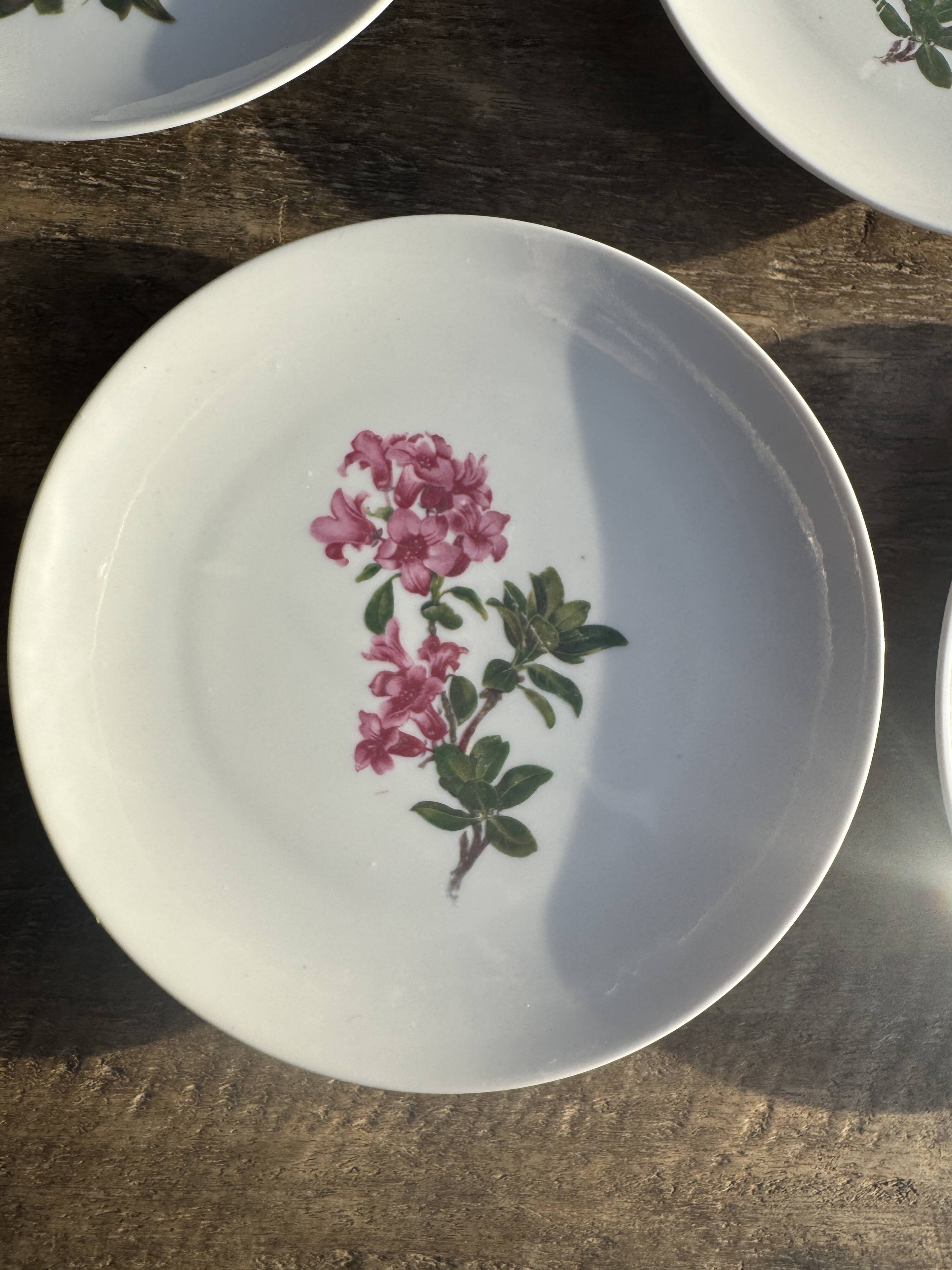 Set of 5 dessert plates with flower patterns Germany Bavaria D19