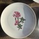 Set of 5 dessert plates with flower patterns Germany Bavaria D19