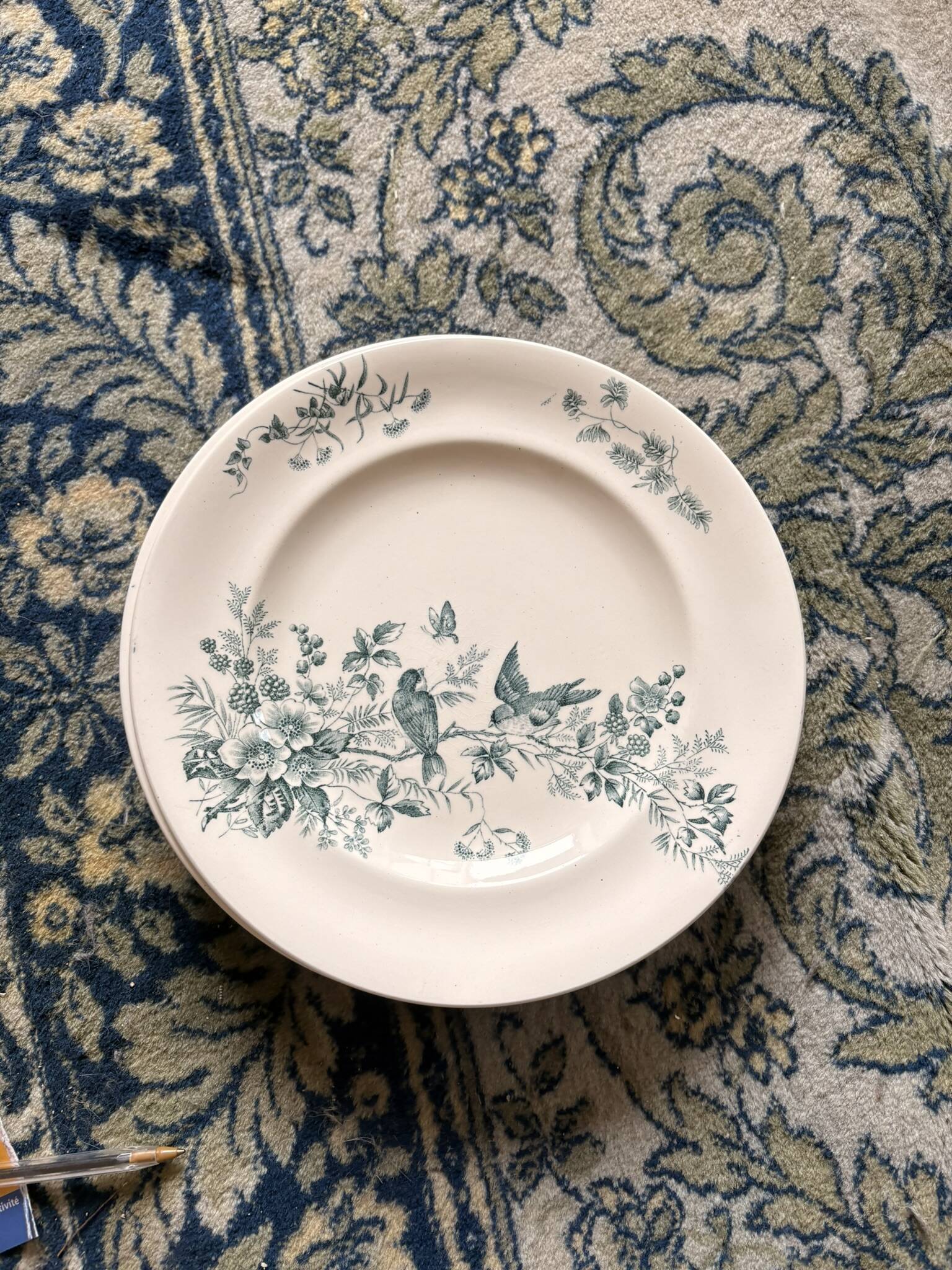 Lot 6 Plate Plates Faience Longwy Model Mignon