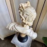 Beige bust of Apollo on black pedestal