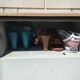Brambles bramb bluish green 5 lockers