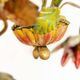 Antique Florentine wall light in painted wrought iron – Floral decoration – 20th century