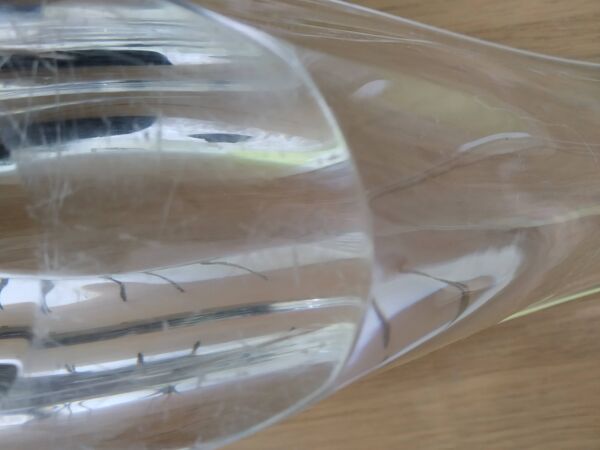 Coupe en cristal de Baccarat