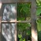 Double-leaf interior French doors