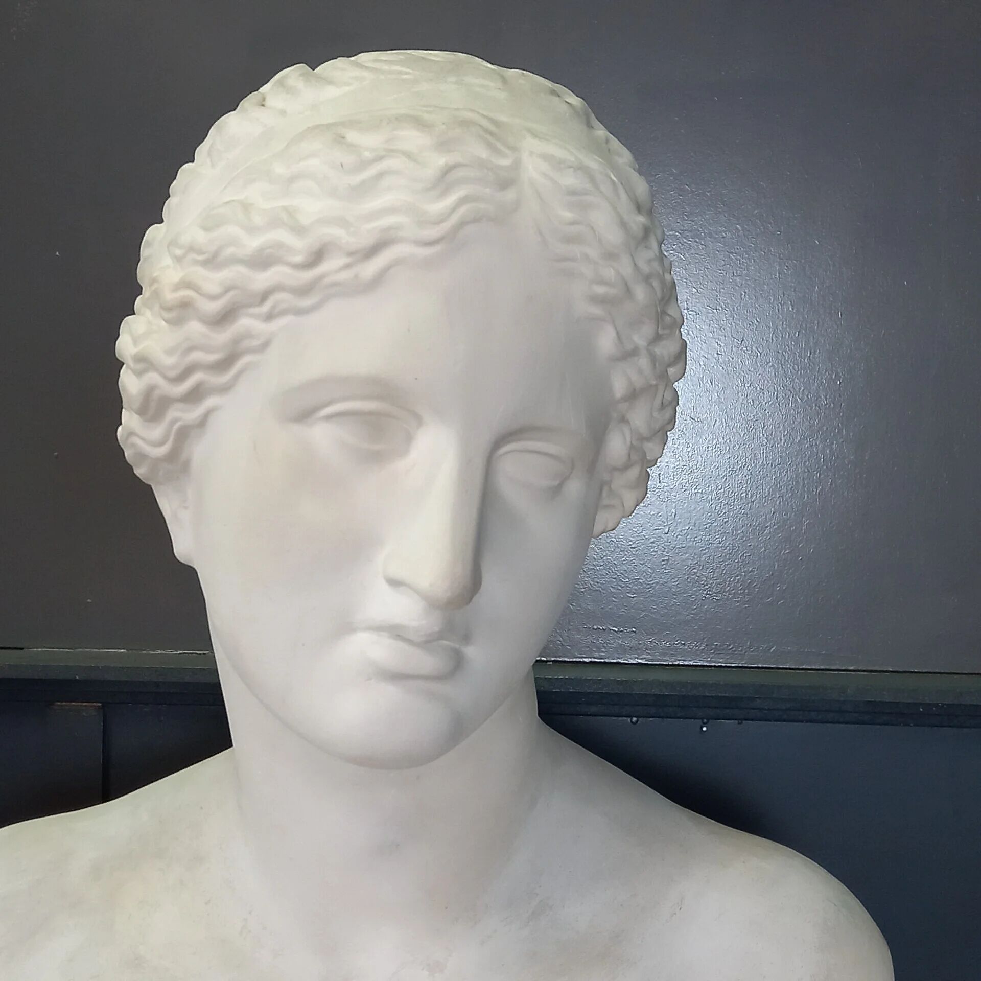Grand buste de Vénus de Milo