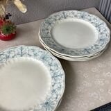 Ridgways 19th century English ironstone plates