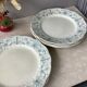 Ridgways 19th century English ironstone plates