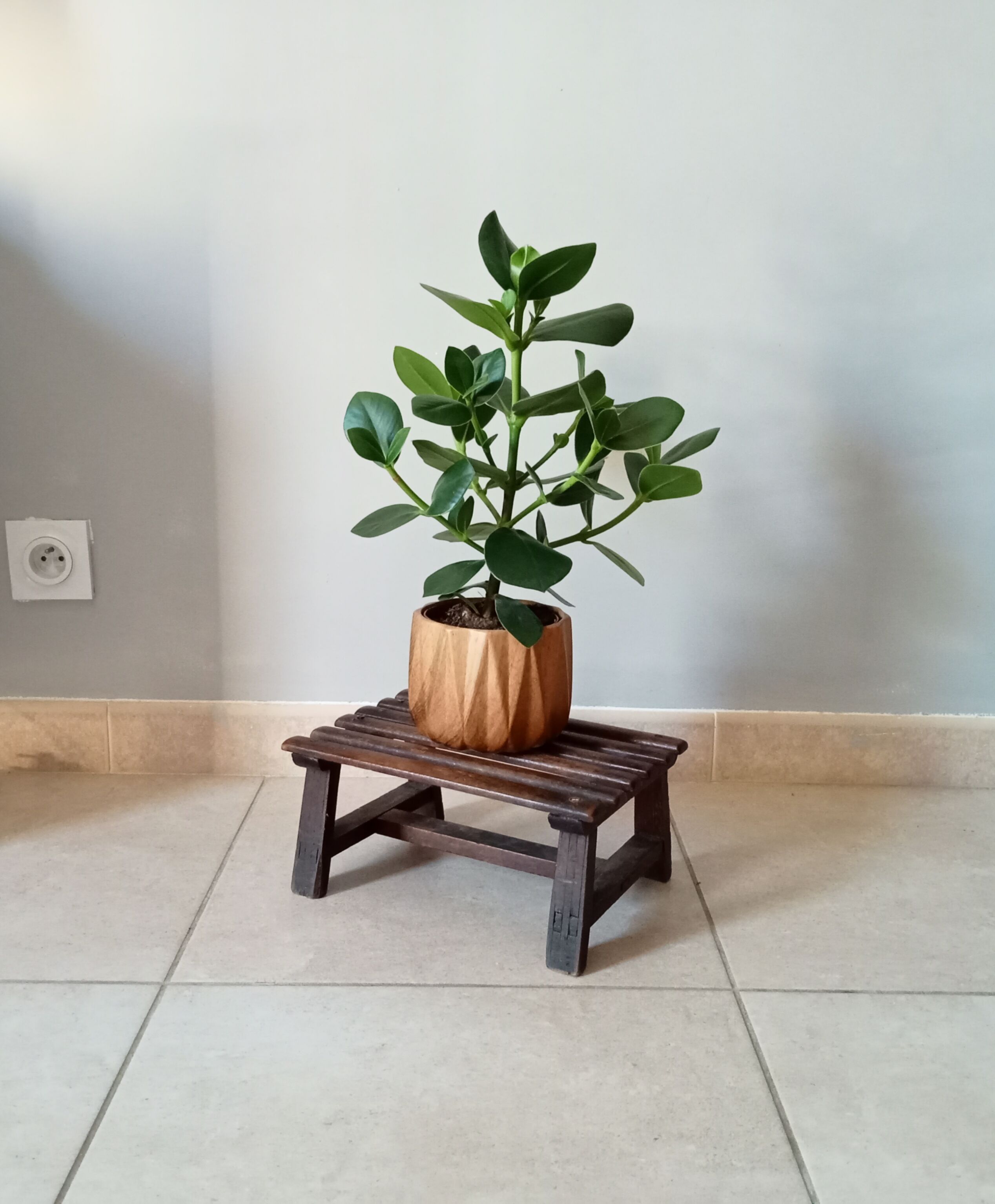 Vintage plant carry stool