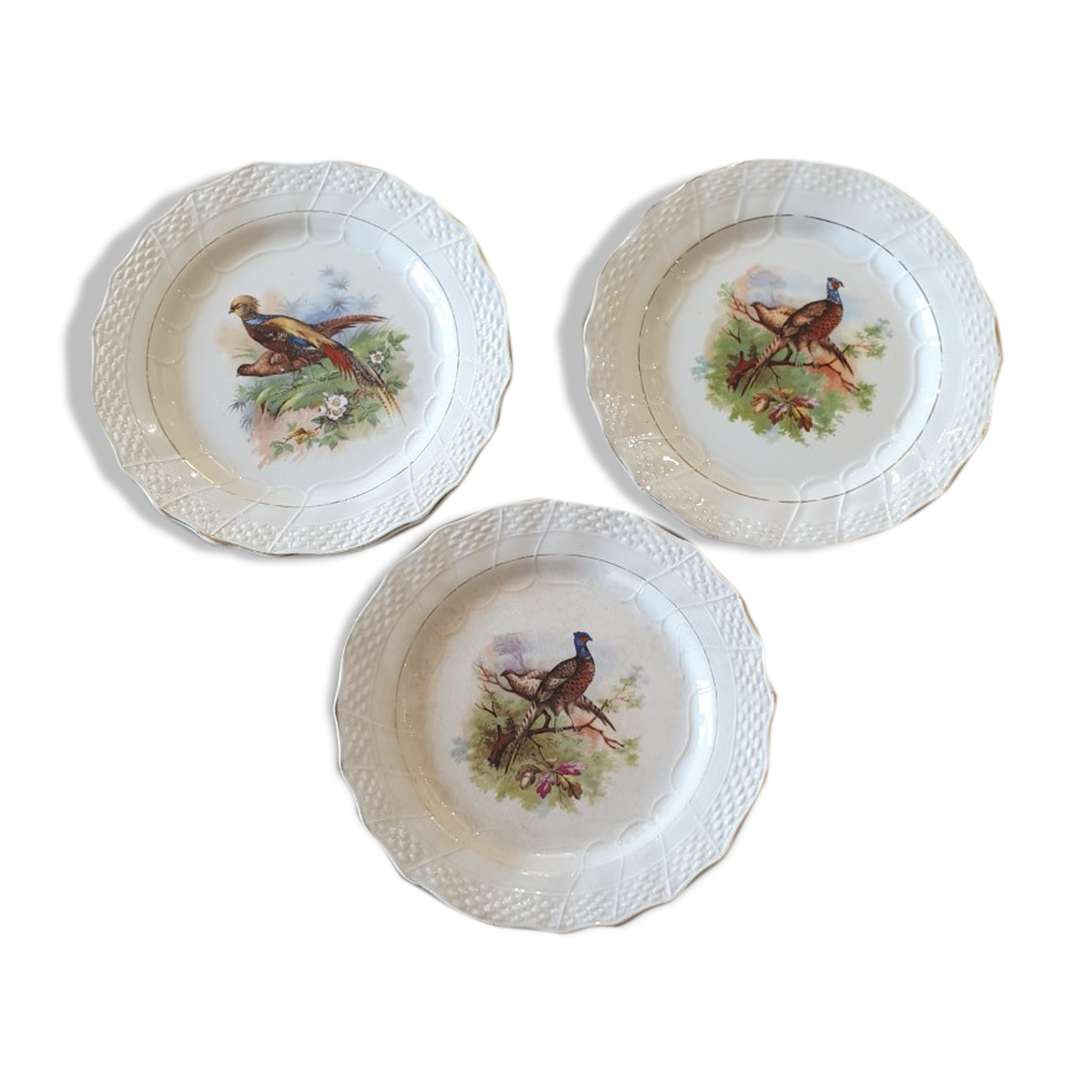 Old plates Moulin des loups