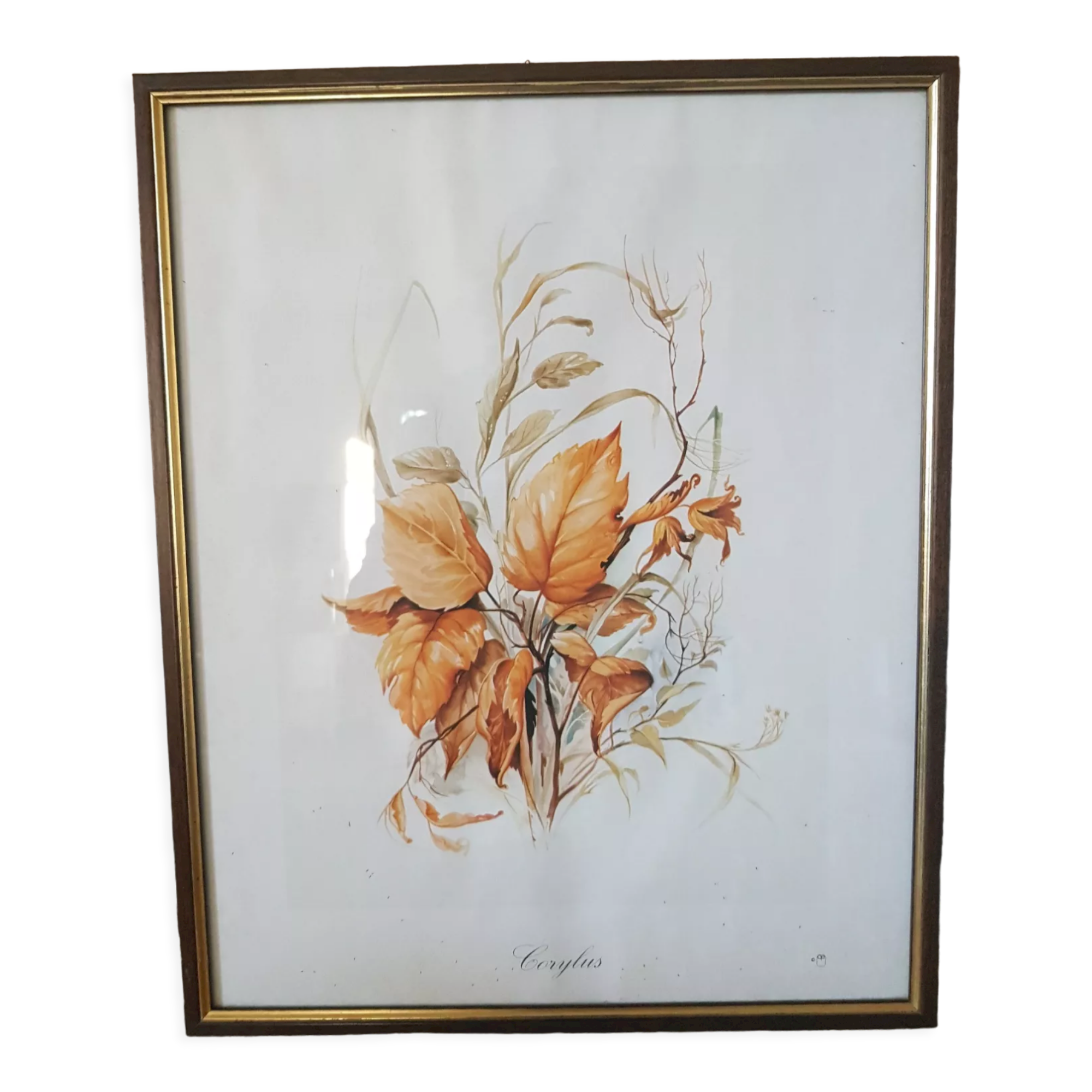 Hazel framed botanical poster