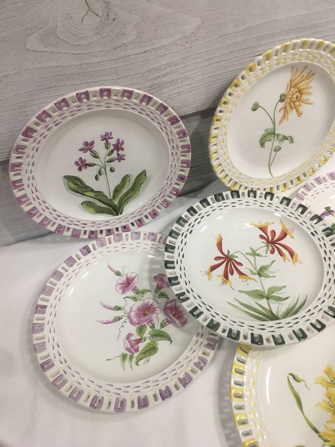 Rovina Epinal plates