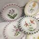 Rovina Epinal plates