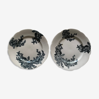 Set of 2 Plates, Best Ironstone China