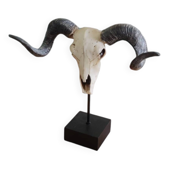 Resin ram skull with support