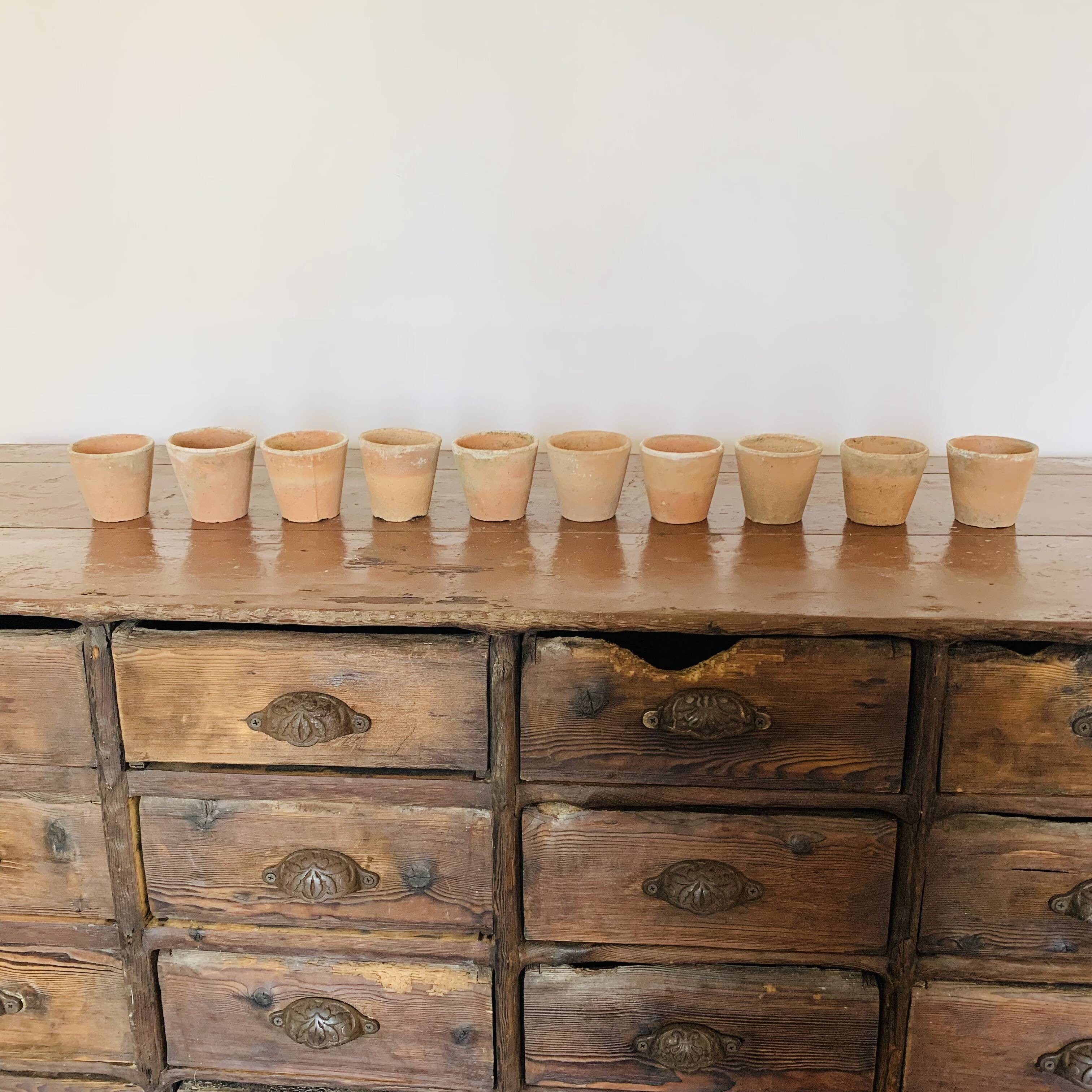 Lot of 10 terracotta pots circa 1930 graineterie