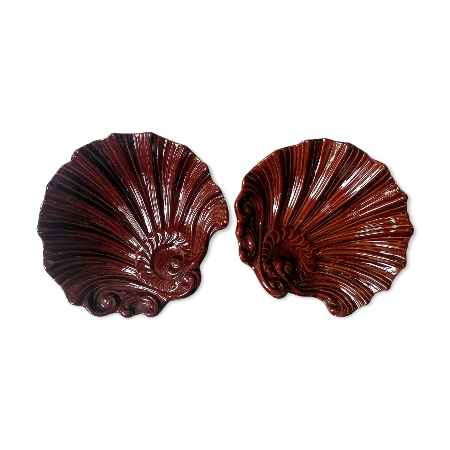 Shell cuts in roccoco earthenware