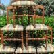 Series of 6 chairs, cherry, 19th