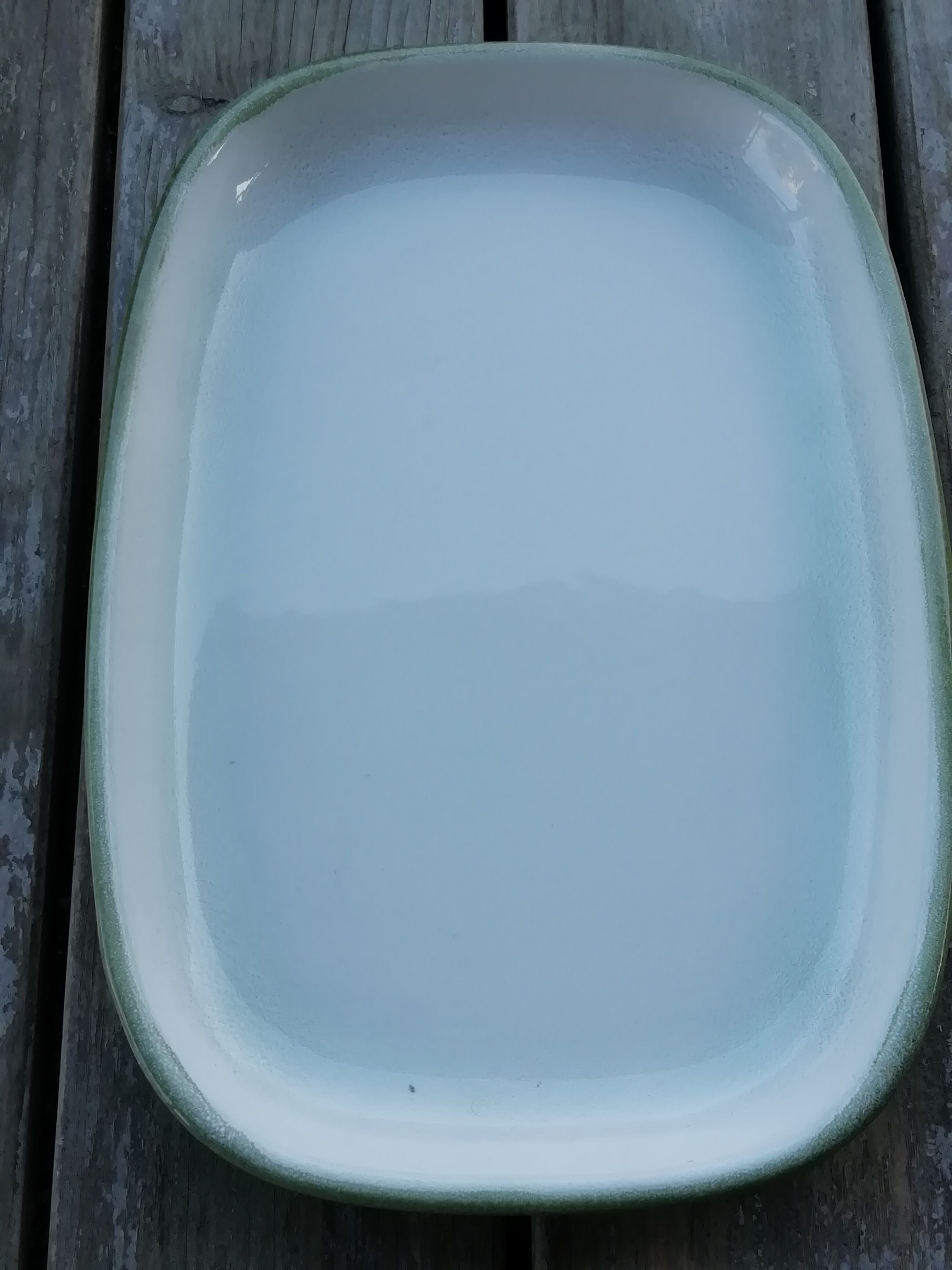 Salins Dish