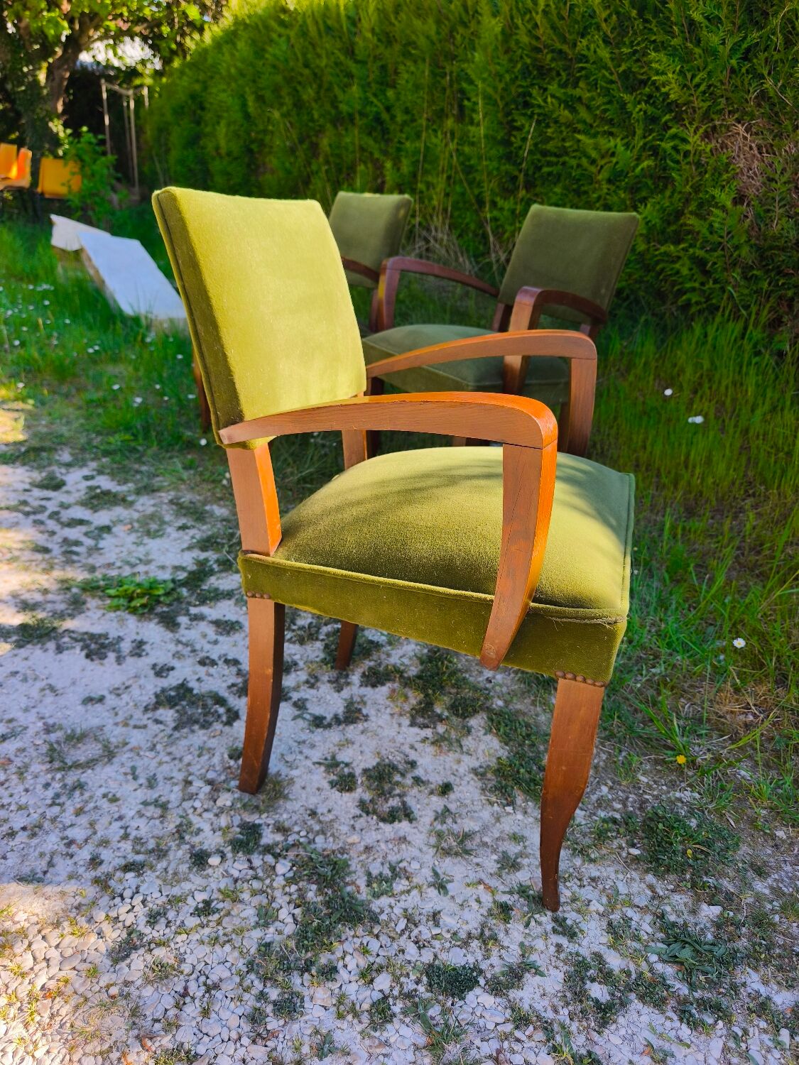 Set of 3 Art Deco bridge chairs in olive green velvet.