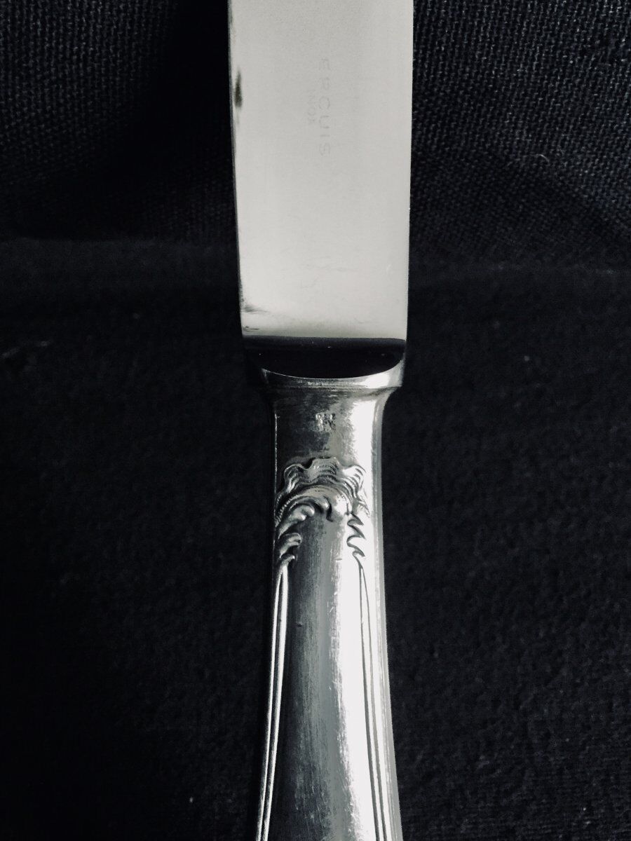 12 ercuis home table knives