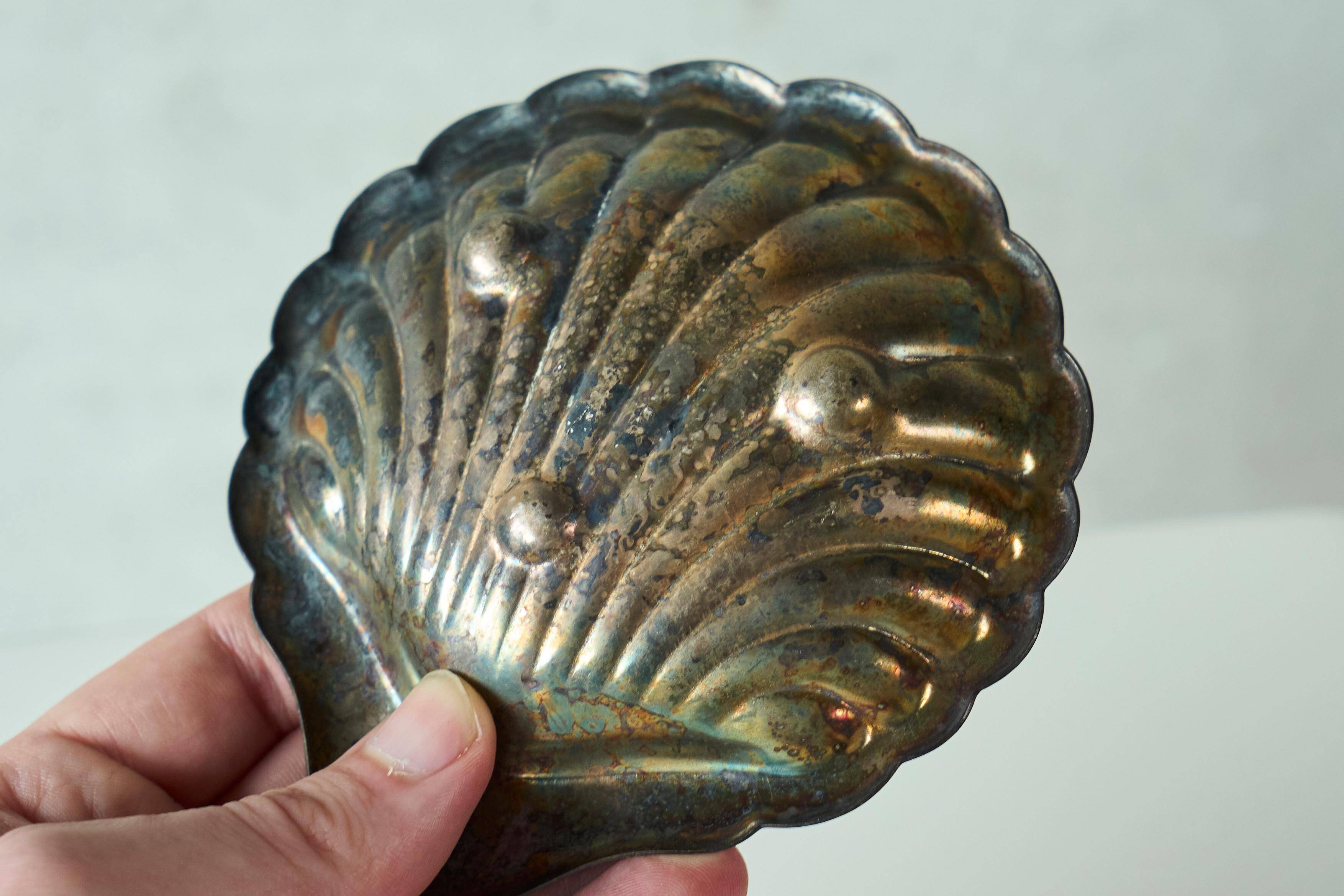 Art Deco Shell Pocket Bowl in Patinated Silver and Satin Glass from the 1930s