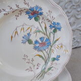6 Longchamp Marguerite blue earthenware plates