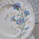 6 Longchamp Marguerite blue earthenware plates