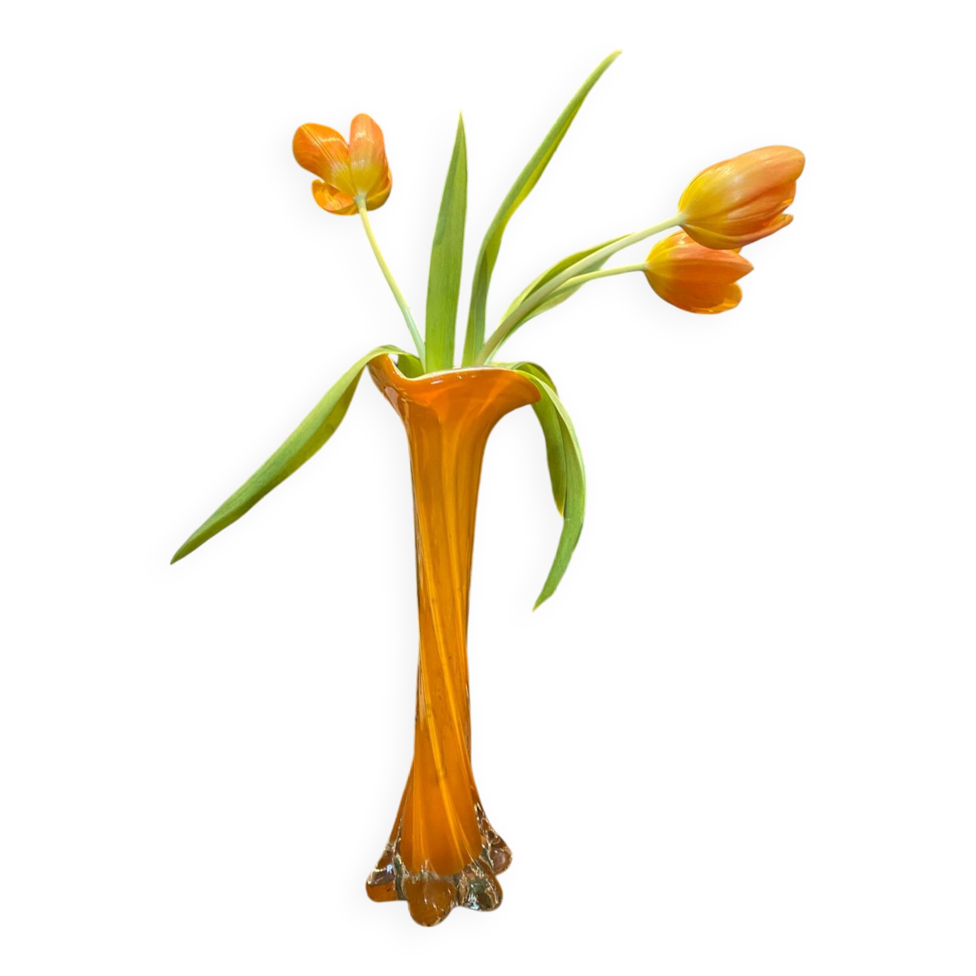 Soliflore orange