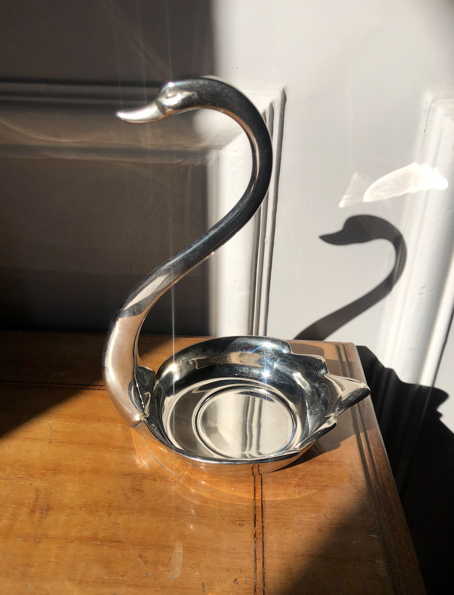 Empty silver swan pocket