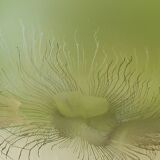 Handmade ball vase. Ambiente Zwiesel. Artistic look. 17x20cm