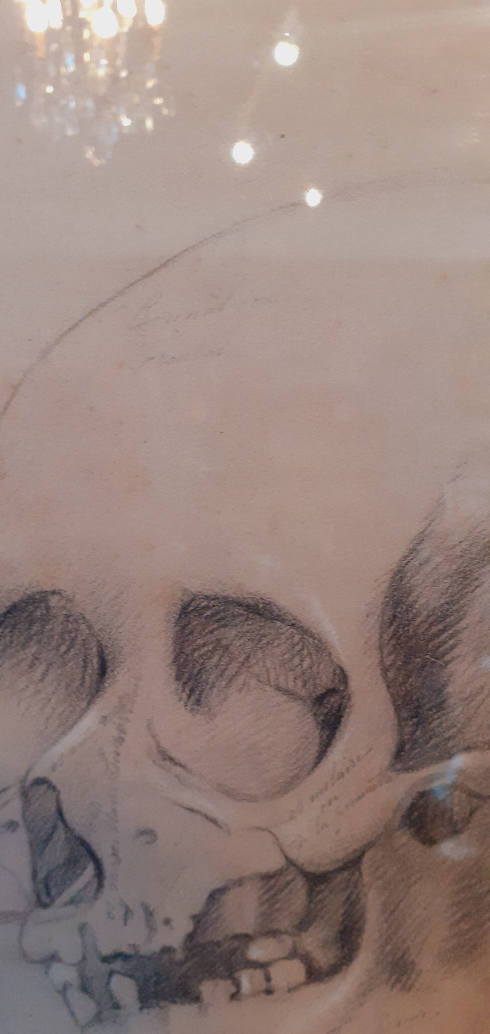 Pair of nineteenth pencil study drawings