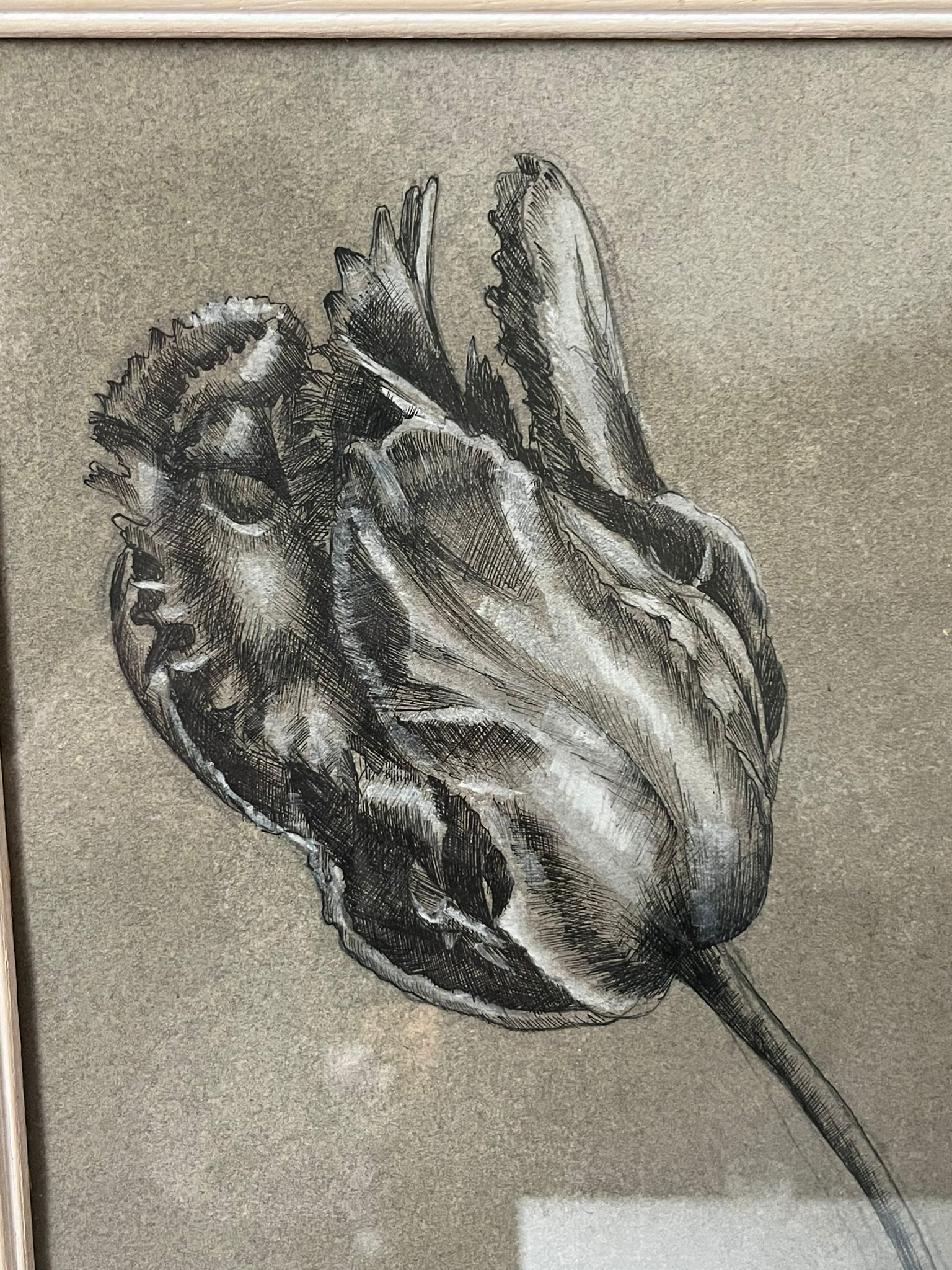 Etude documentaire d'une fleur, drawing, Dumant, 1951