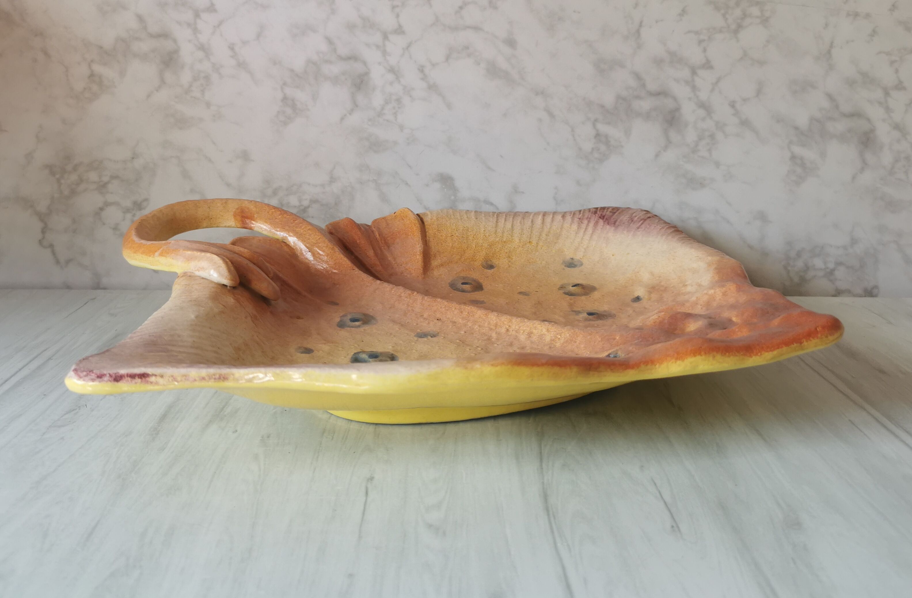 Zoomorphic dish ray