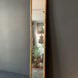 Nineteenth mirror with mercury