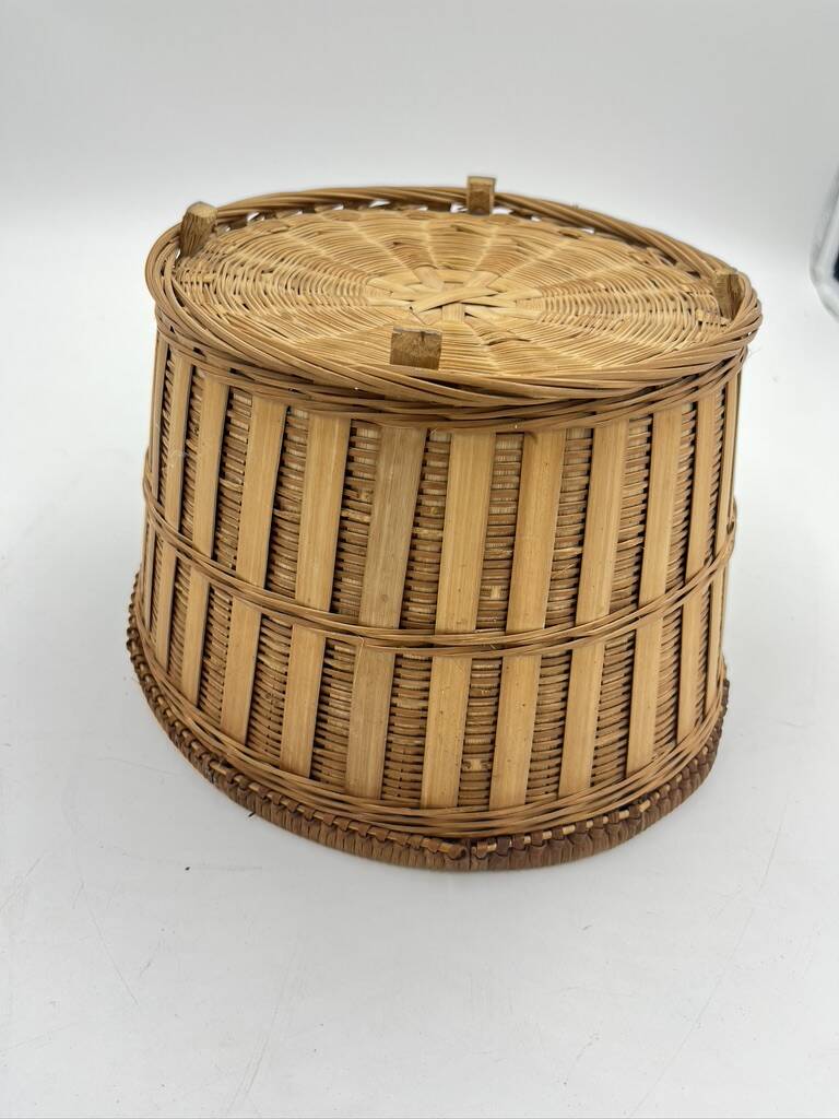Wicker plant pot