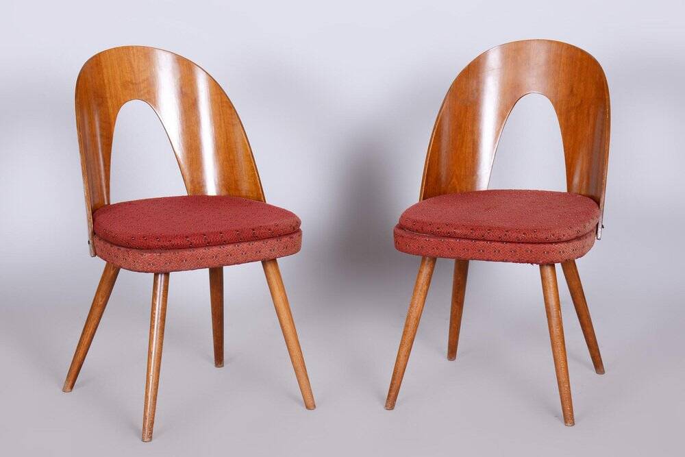 Set of Mid-Century Czech Chairs by Antonin Suman, 1950s