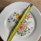 5 vintage flower plate 20,5cm