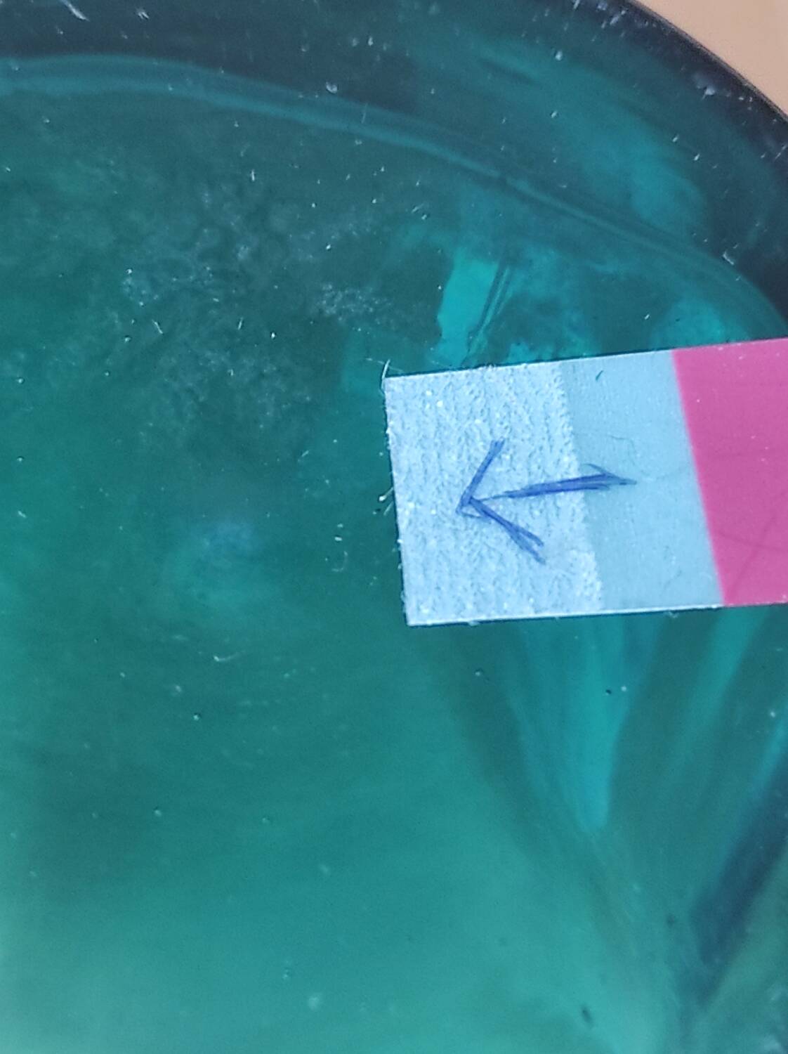 Blown glass vase with a flared neck and wavy rim.