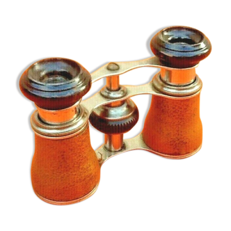 Pair of old theatre binoculars (95x55)mm Variable optics