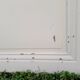 Pair of doors 101x233cm each, old sliding