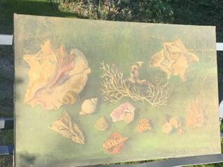 Vintage shell display