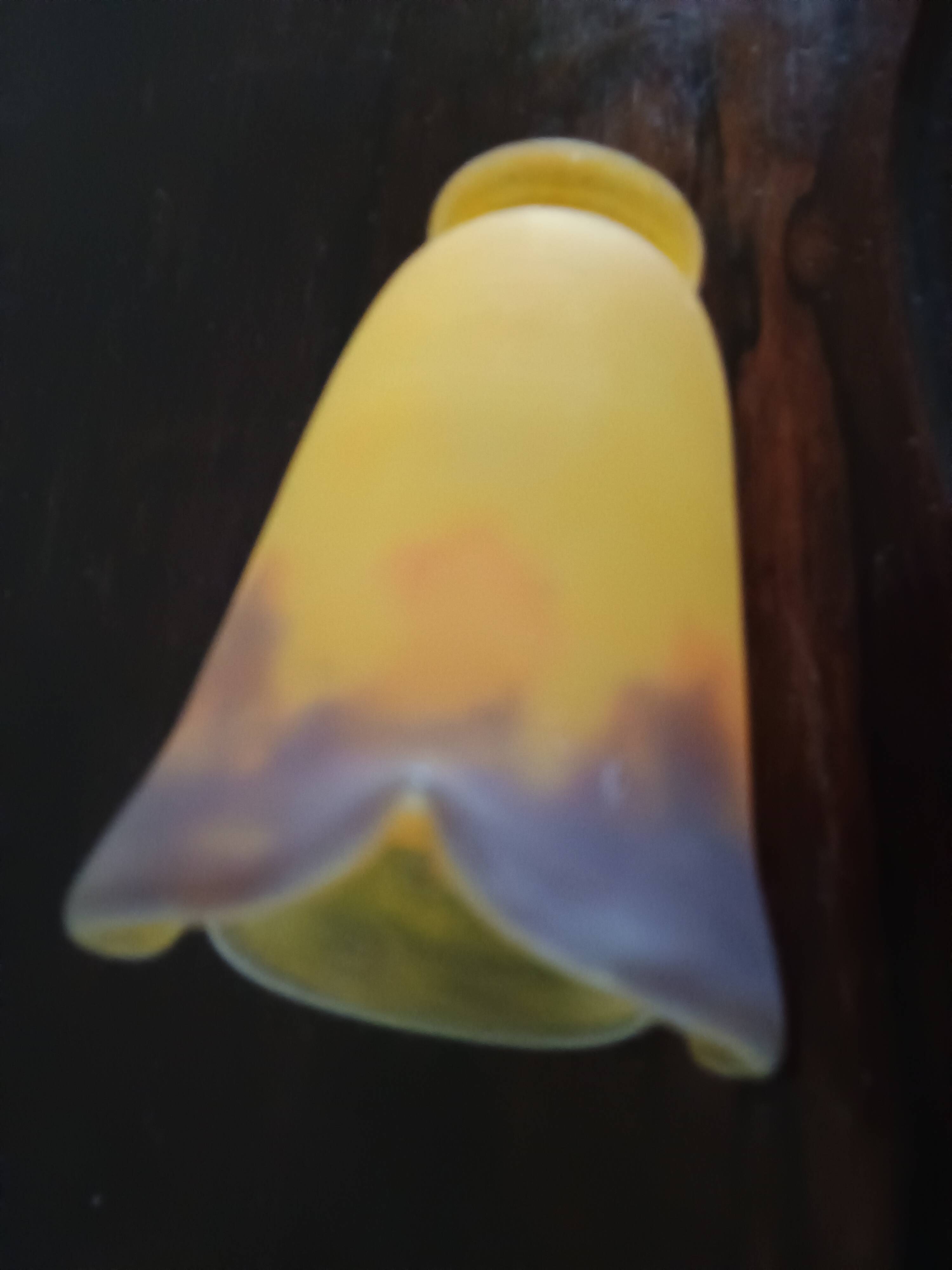 TULIP corolla - yellow-orange-brown marbled glass MULLER FRERES LUNEVILLE