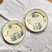 Set of 2 iron earth plates Sarreguemines earthenware Tsarine ACC-7301