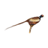 Taxidermy - Former hunting pheasant stuffed on wooden escutcheon - folk art and tradition